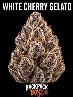 White Cherry Gelato
