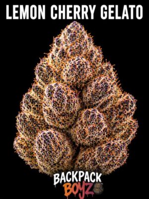 Lemon Cherry Gelato
