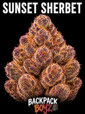 Sunset Sherbet