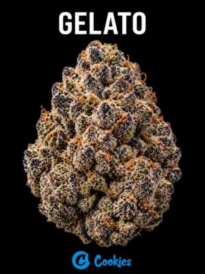 Gelato