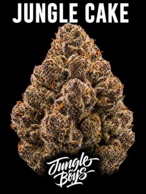 Jungle Cake