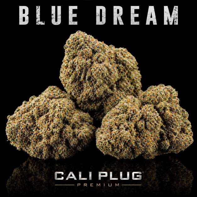 Blue Dream Weed