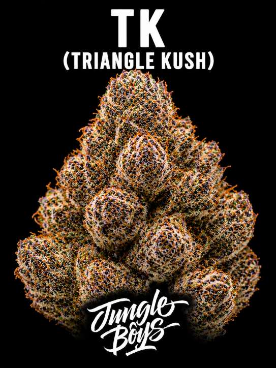 TK (Triangle Kush)