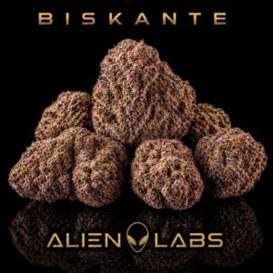 Biskante