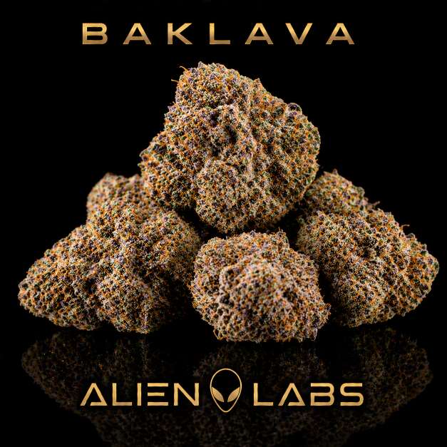 Baklava