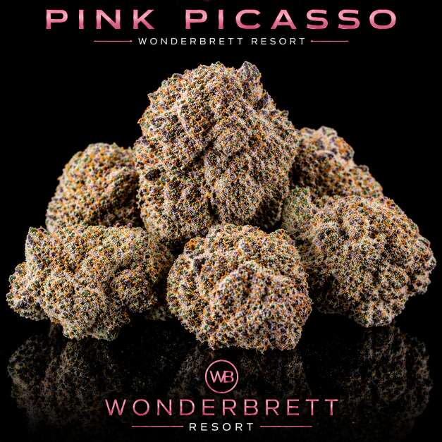 Pink Picasso